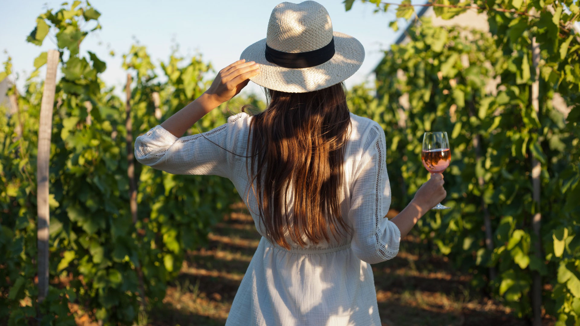 Tour Enogastronomici Roma: Settembre a Roma con Roman Limousine Service - Donna di spalle in una vigna con in mano un bicchiere di vino rosato